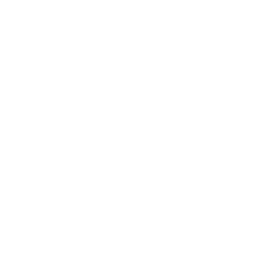 retrospec white logo