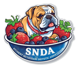SNDA Logo