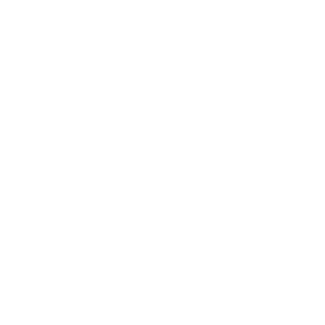 icemule logo white sized right