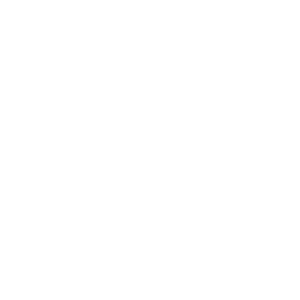 nomadik logo