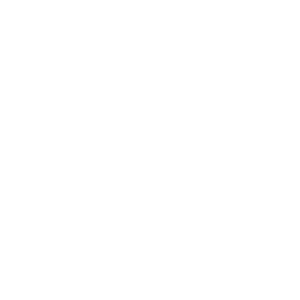valley chrome white logo
