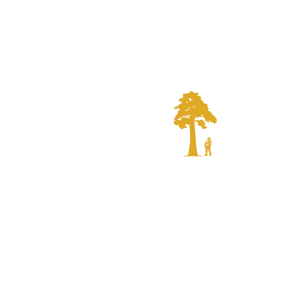 Sequoia Creative