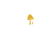 Sequoia Creative